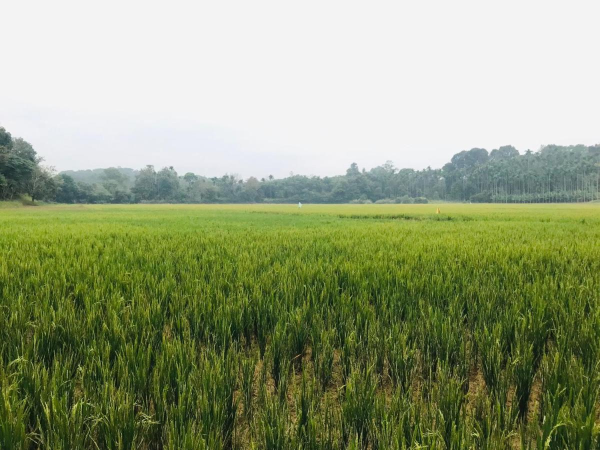 Partho Home Stay Padinjarathara 外观 照片